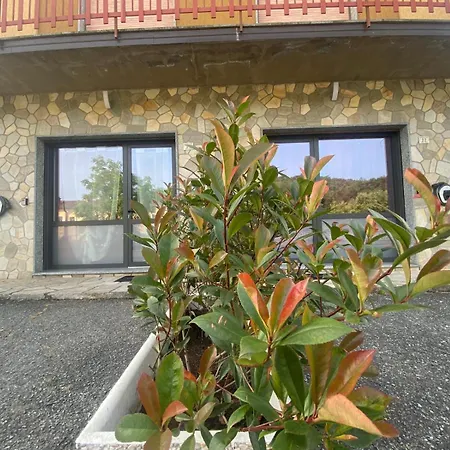 Il Grappolo Di 4* Gavi