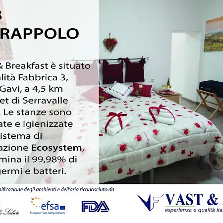 Il Grappolo -affittacamere- Guest house Gavi