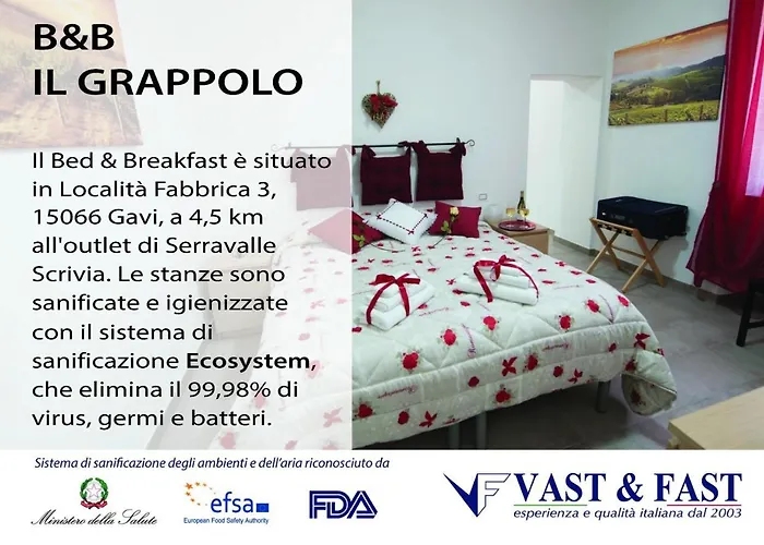 Il Grappolo Di Gasthuis Gavi